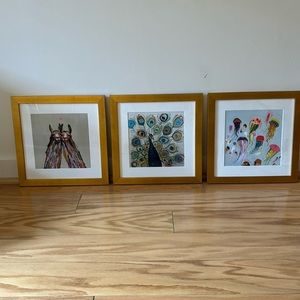 Set of 3 - Eli Halpin Wall Art - 13" x 13"